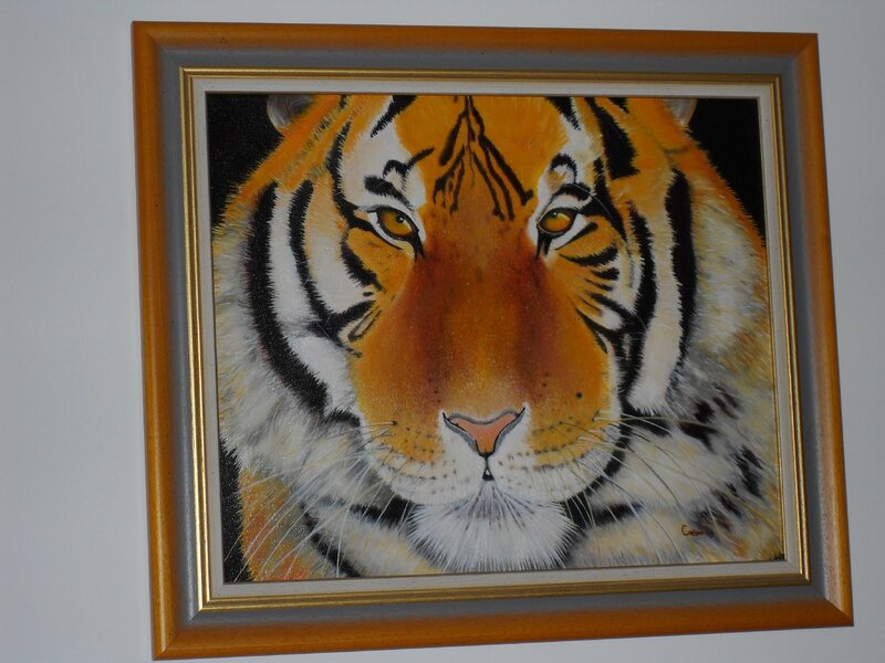 4 Tigre 2 2008