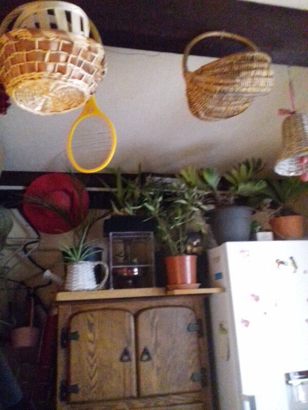 20190216_081327