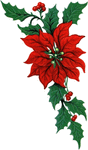 noel_houx_20