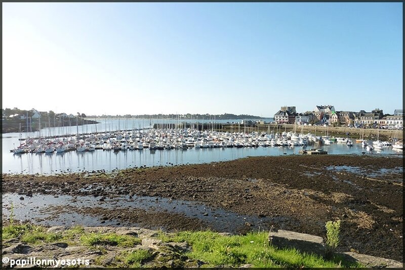 Concarneau_1