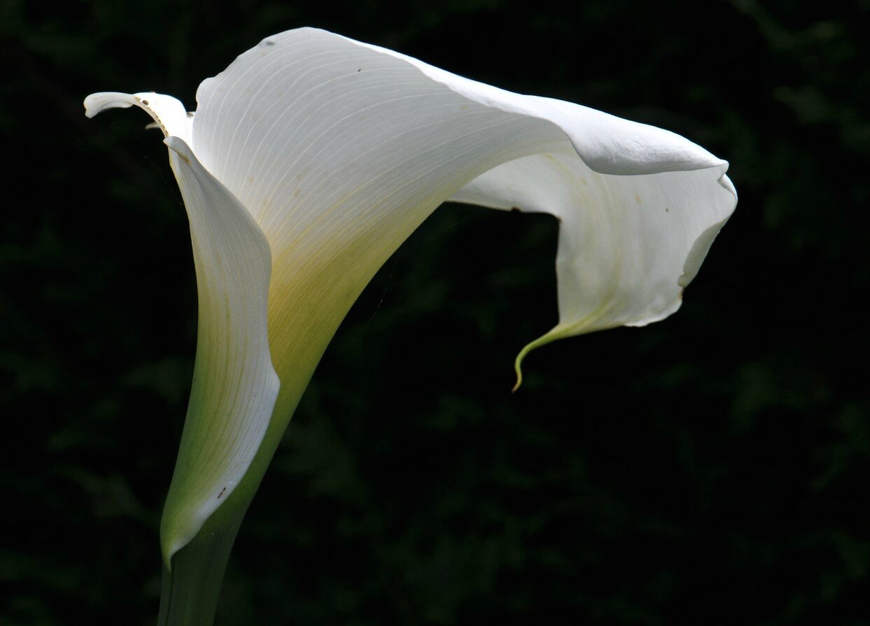 HD3_6177-1