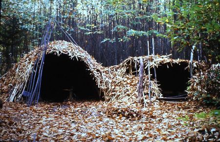 loges de cerclier Rougnac 1980 (7)