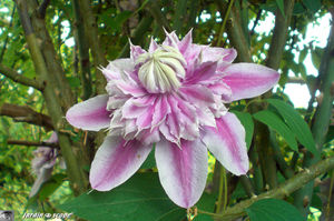 jardins_de_Roquelin_62