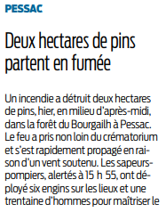 2019 04 23 SO deux hectares de pins