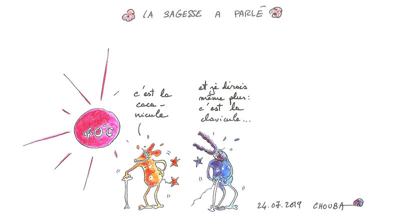 la-sagesse-a-parlé-blog