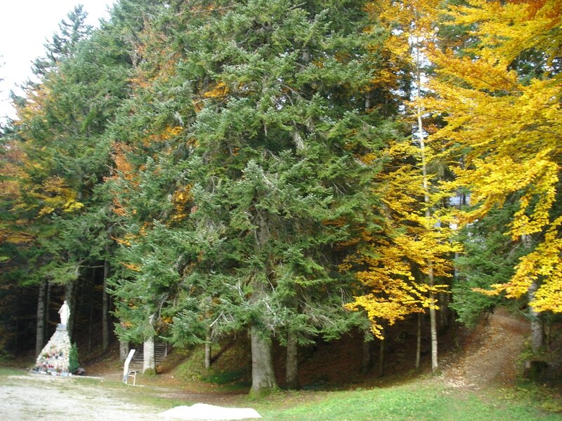 DSC07288