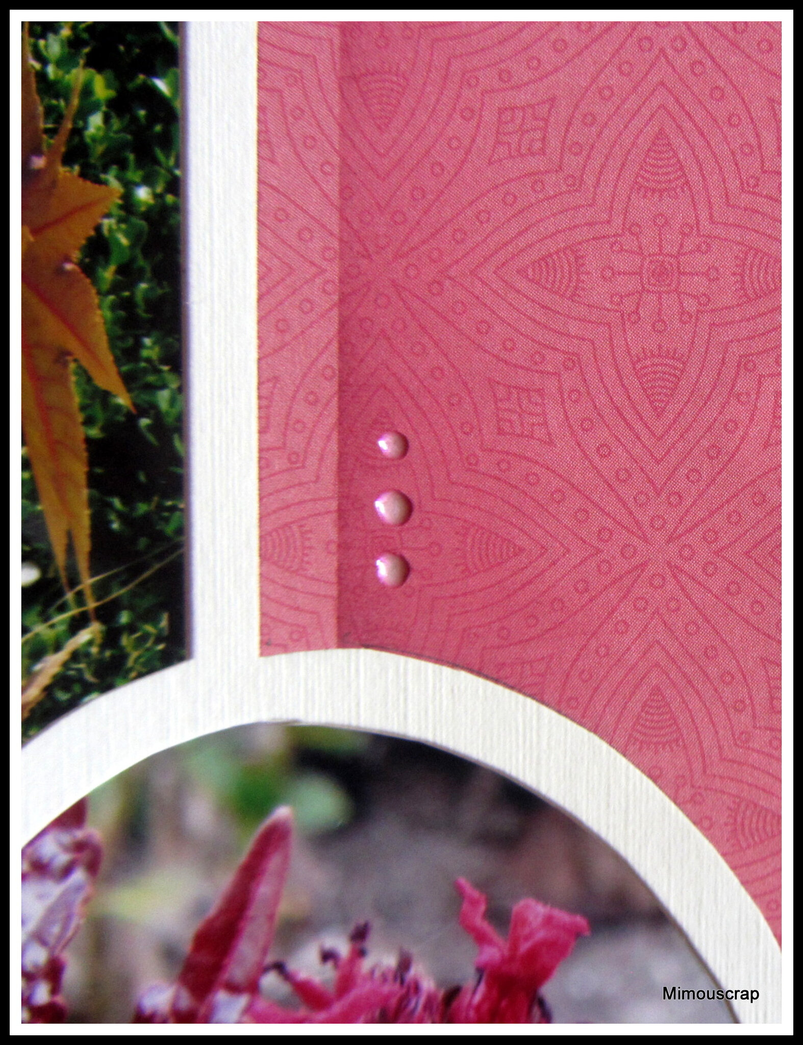 Jardin 2016 127
