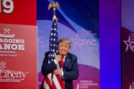 Donald TRump and American Flag