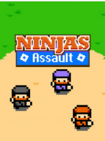 jeu-ninja-assault