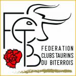 LOGO FCTB 2019