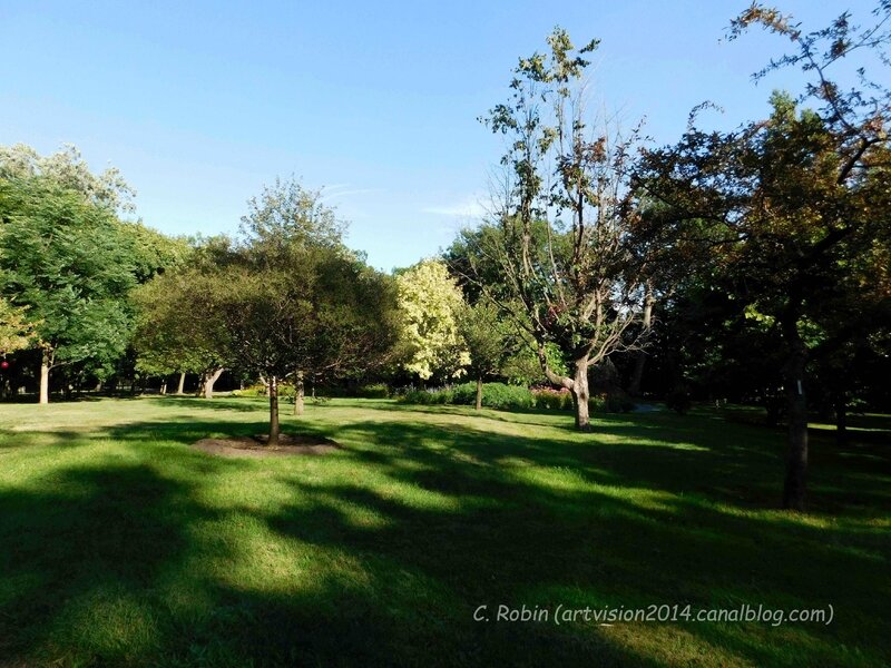 Bois-de-Coulonge-Arboretum-15