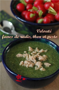 Velout__fanes_de_radis_thon_pesto_1