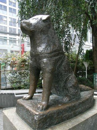 Hachiko__Small_