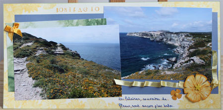 bonifacio_falaises_en_fleurs