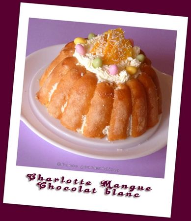 charlotte mangue chocolat blanc (29)