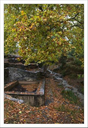 Aragon lavoir Torrelisa soir 271011