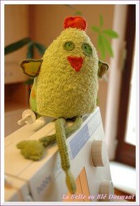 Poule___11_