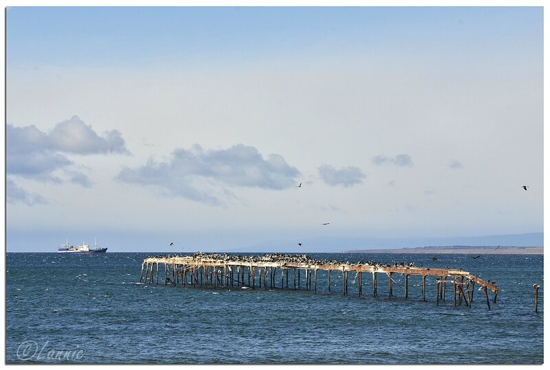 _Argentine_328_Chili_Punta_Arenas_ponton