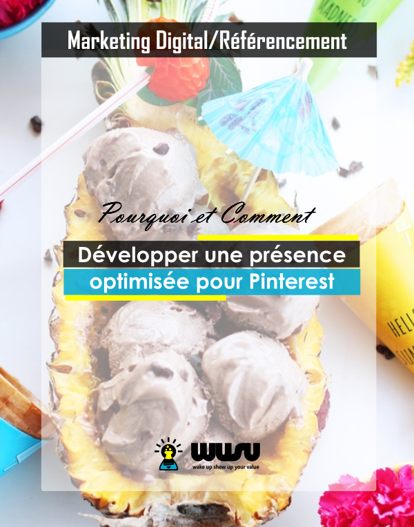 communiquer-sur-pintesrest-brand-management-marketing-digital-winnie-ndjock-wusu-box-2019