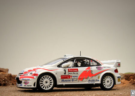 Peugeot307WRC07_04