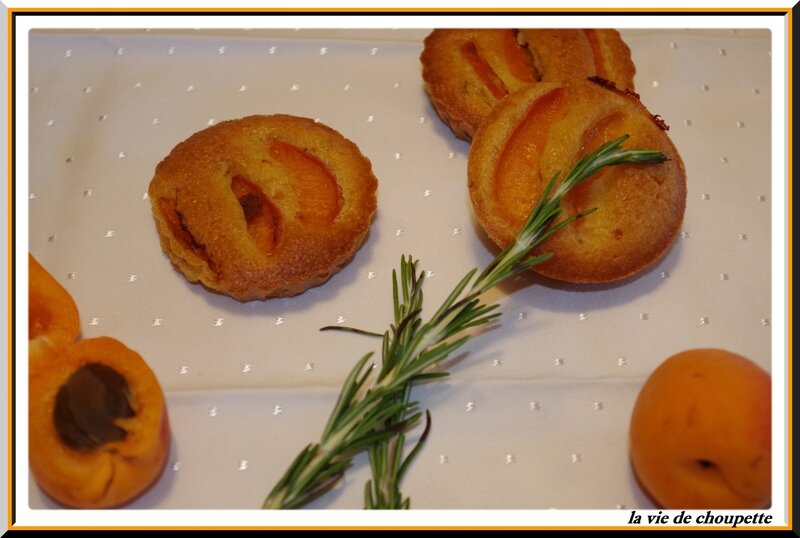 financiers aux abricots-14