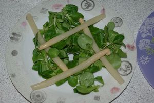 Salade aux gésiers de canard,chêvre pané,noix caramélisées 004