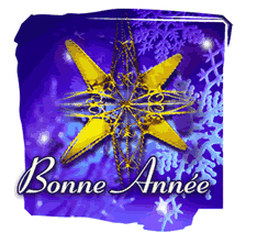 bonne-annee_066