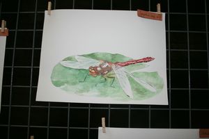 IMG_6294