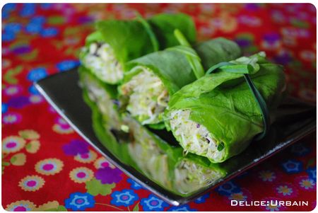 Rouleaux aux graines germées pour fêter le printemps! recettes entrees Du printemps en rouleaux!