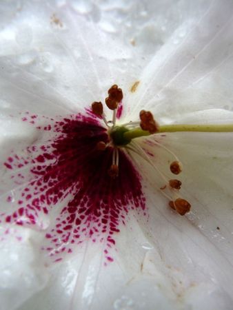 P1380090