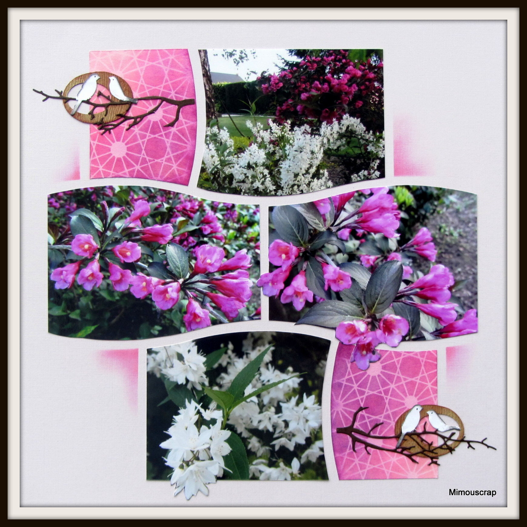 Jardin 2016 045
