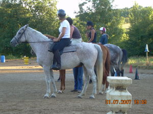 DAMIATTE_2007_039