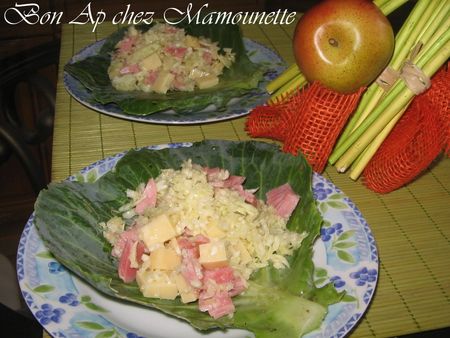 Salade_vend_enne_au_chou_blanc_du_jardin_bonapchezmamoune