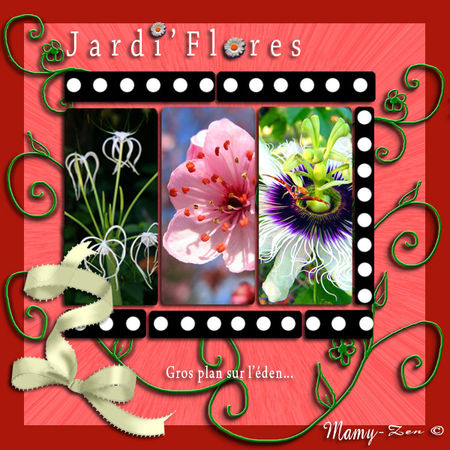 jardiflores