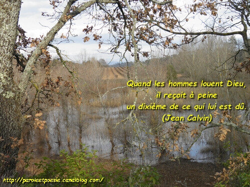 Rendre gloire-Jean Calvin (Citation)P1150024