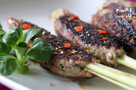 brochette