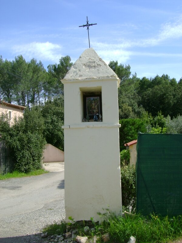 DSC07575