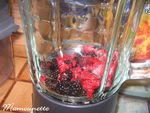 P_tes_de_fruits_aux_m_res_sauvages_et_aux_framboises_005