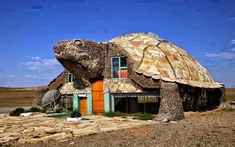 maison-tortue9