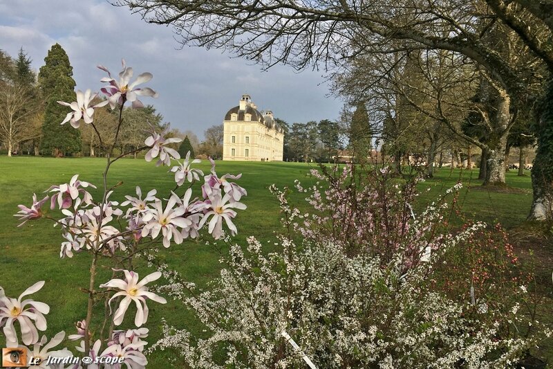 Cheverny-8