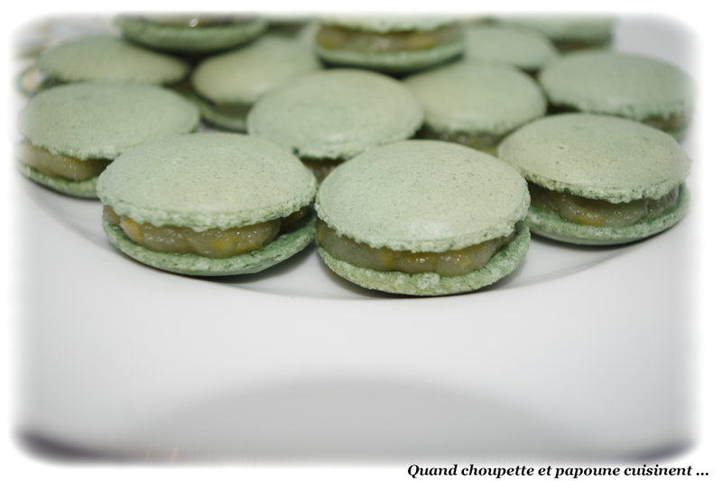 macarons à la pomme verte-9029