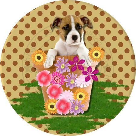 Doggy pot de fleur