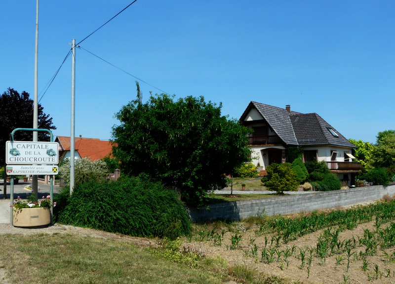 Krautergersheim (4)