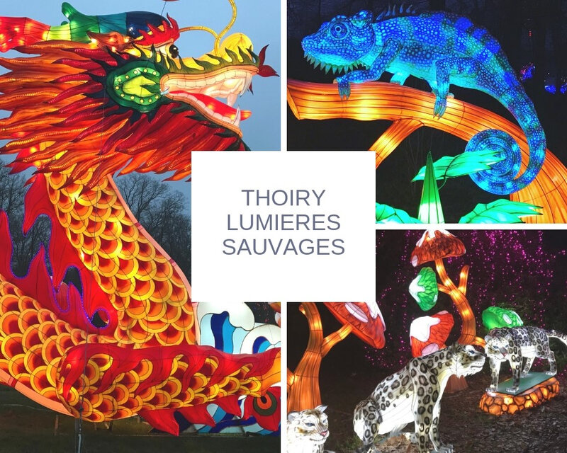 Lumières sauvages à Thoiry ©Kid Friendly
