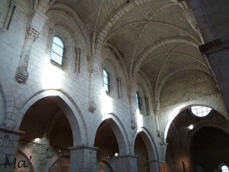 leoncel_120112_1