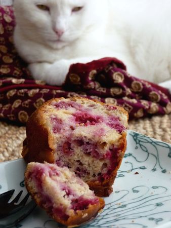 framboise_pur_e__amandes_008