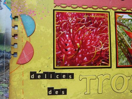 04bis - Détail page Délices des Tropiques - 28 mars 12