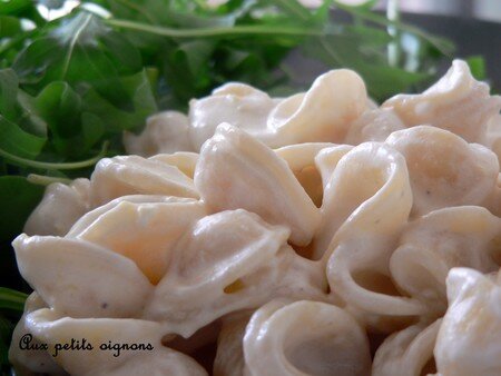 Pâtes Citron Parmesan recettes plats Orechiette à la chapelure