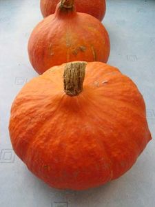 potimarron