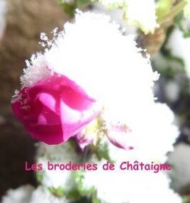 fleurs de neige (5)